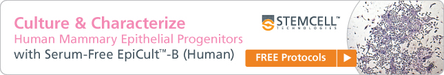 Culture and Characterize Human Mammary Epithelial Progenitors with Serum-Free EpiCult-B (Human) Free Protocols